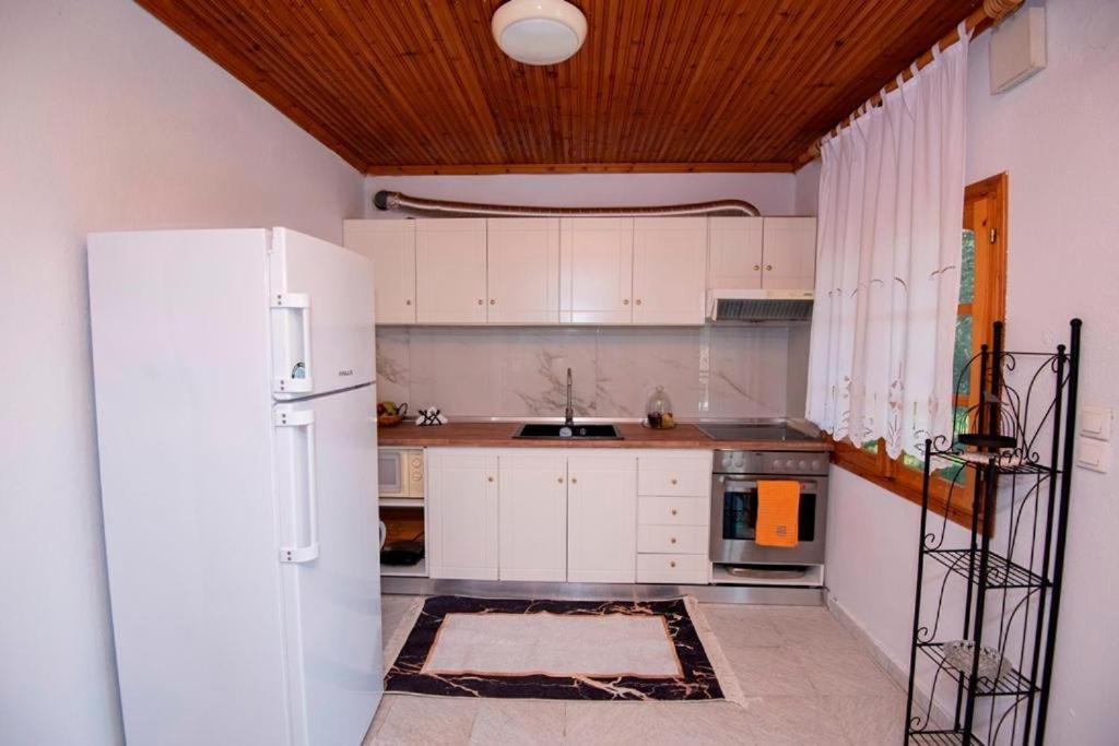 Holiday home Casa Chrysi Mesimvria (Evros)