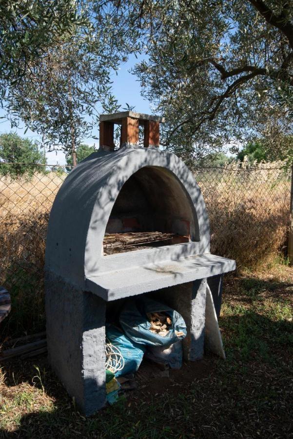 Casa Chrysi *