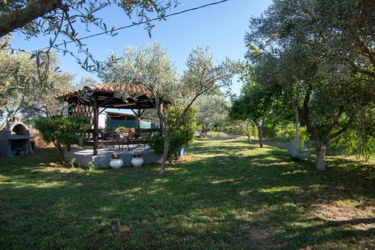 Casa Chrysi